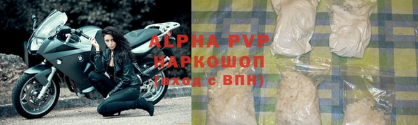 стаф Алексин