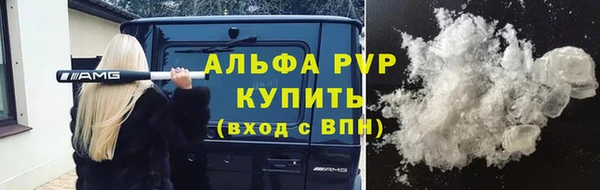 стаф Алексин