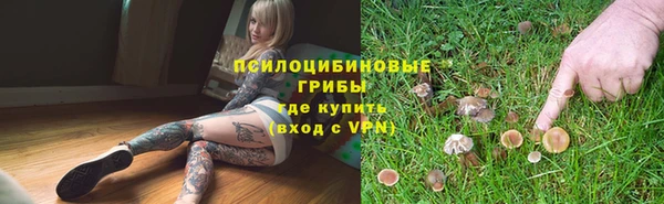 стаф Алексин