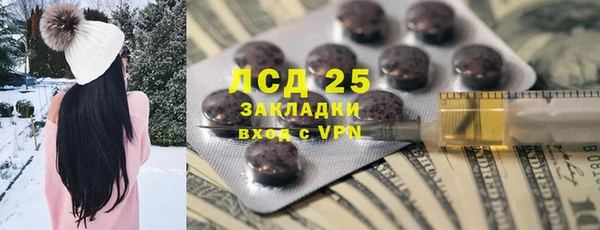 стаф Алексин