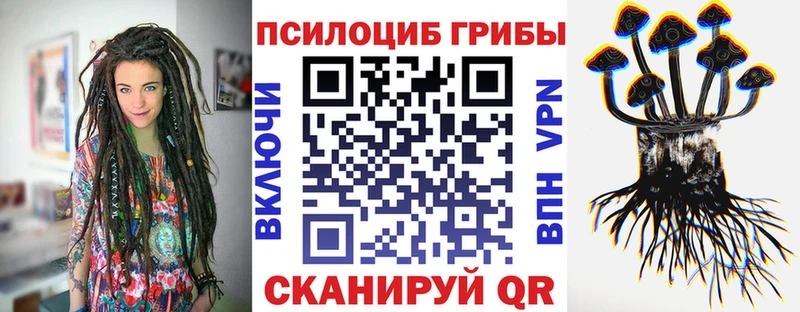 MEGA   где найти   Кочубеевское  Галлюциногенные грибы Magic Shrooms 